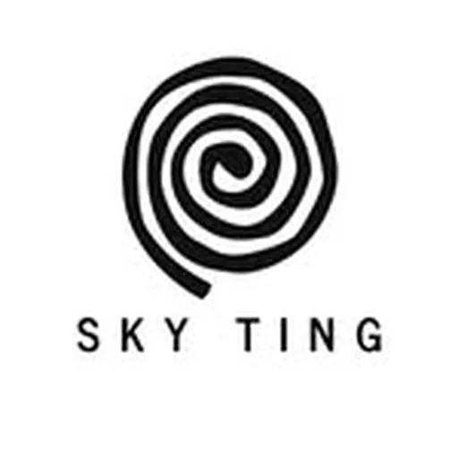 @skyting profile image
