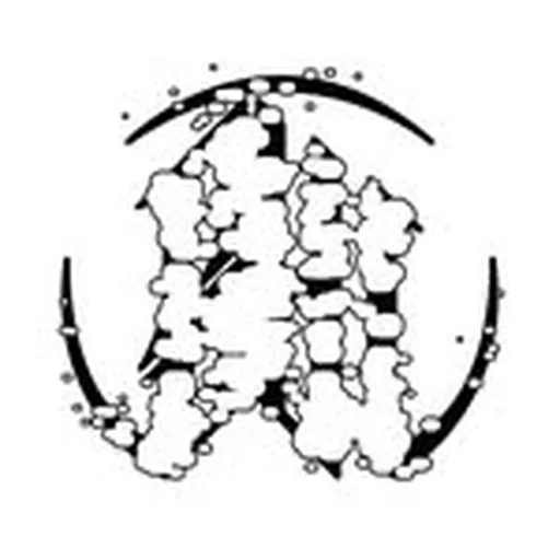 @slagwerk_ profile image