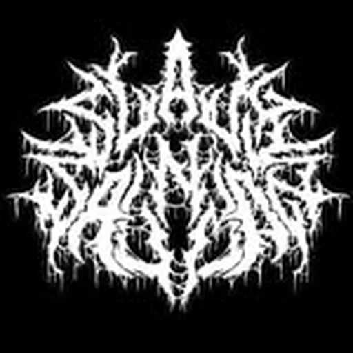 @slamnsalmonofficial profile image