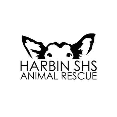 @slaughterhouse_survivors profile image