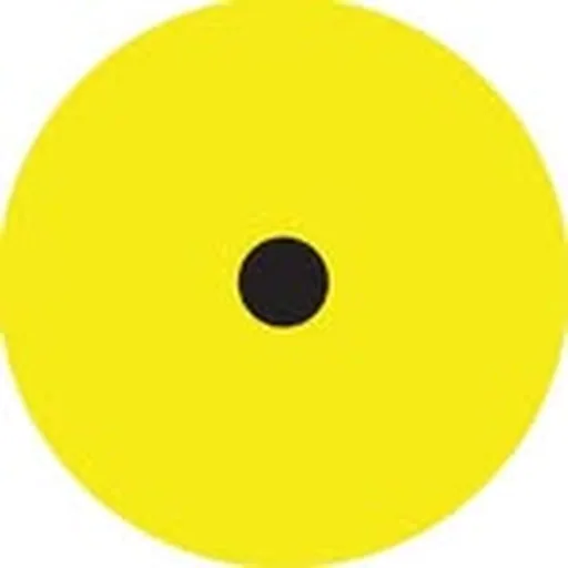@slingshot_festival profile image