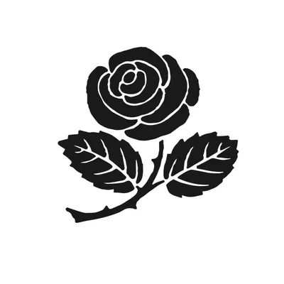 @slowburncoffee profile image