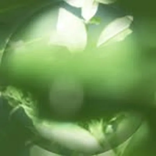 @slowfoam profile image