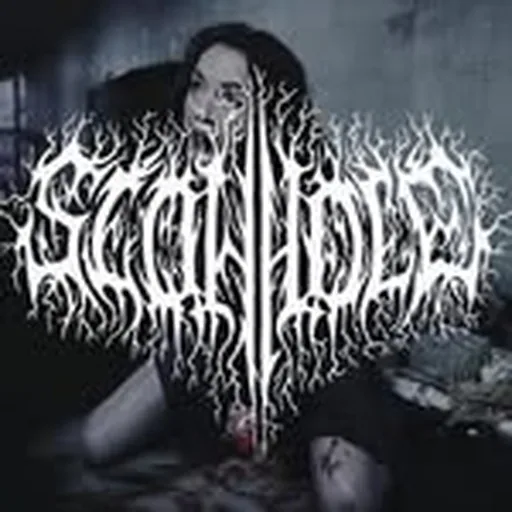 @slowhole profile image