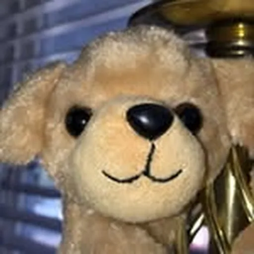 @slozzaa profile image