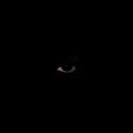 @slyverpv profile image