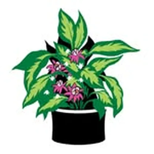 @smartpots profile image