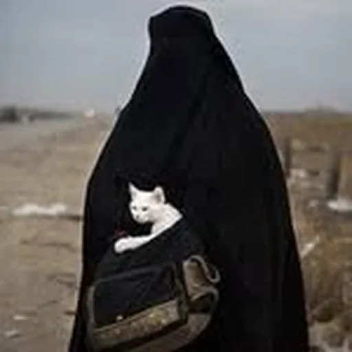 @smekalmohdzar profile image