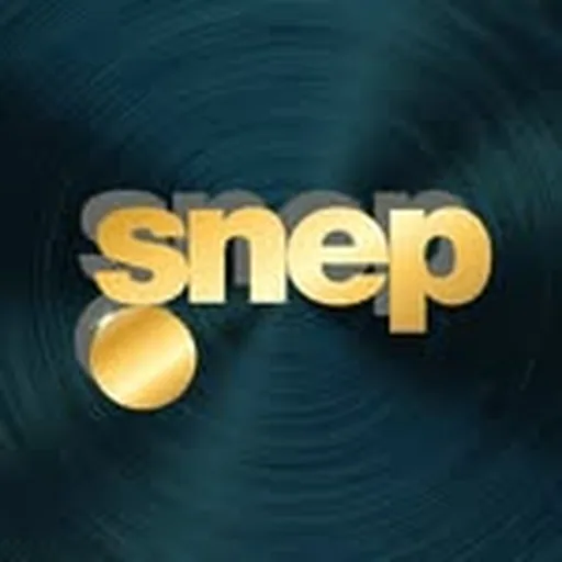 @snepmusique profile image