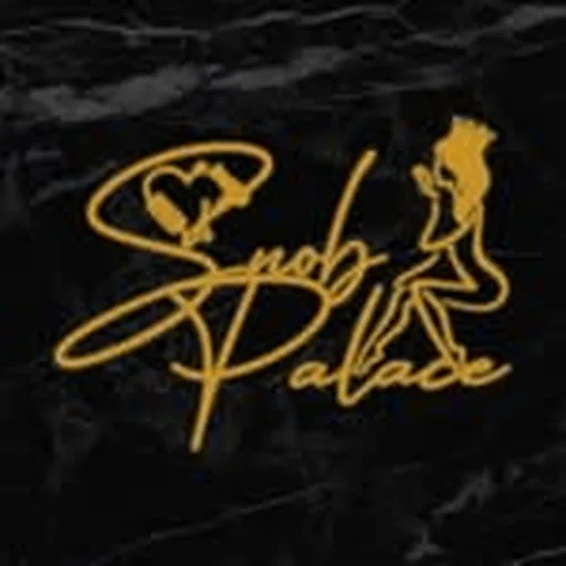 @snobpalace profile image