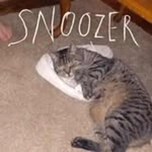 @snoozerband profile image