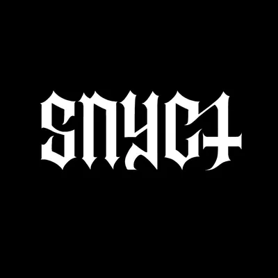 @snyct.std profile image