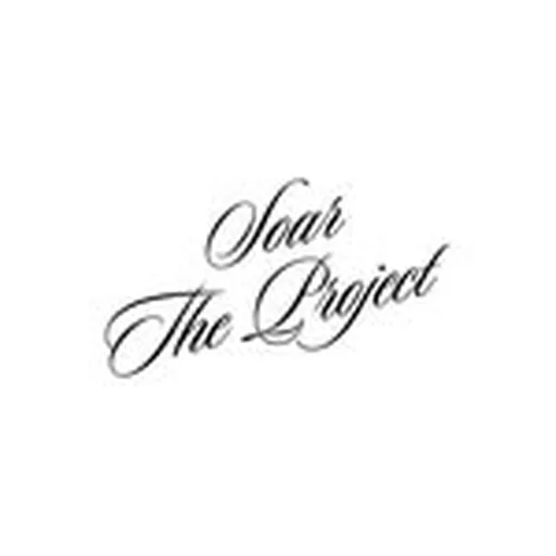 @soartheproject profile image