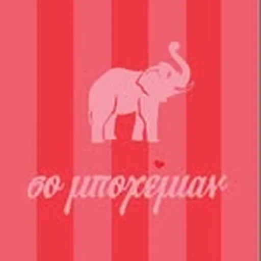 @sobohemian profile image