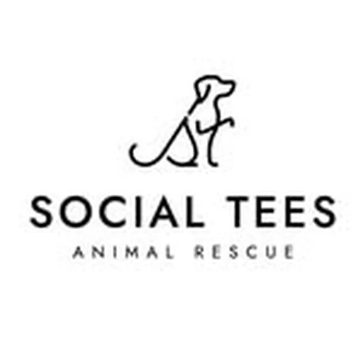 @socialteesnyc profile image