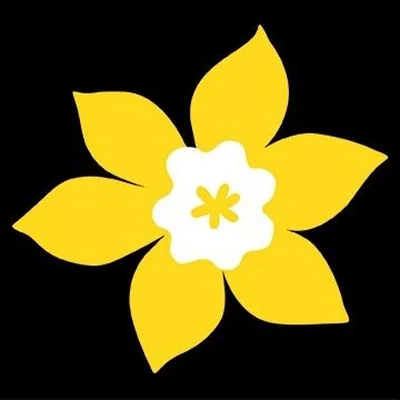@societeducancer profile image