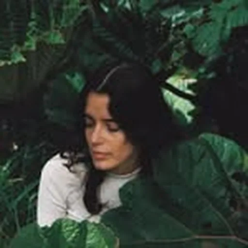 @sofipaezmusic profile image