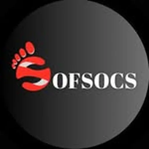 @sofsocs profile image