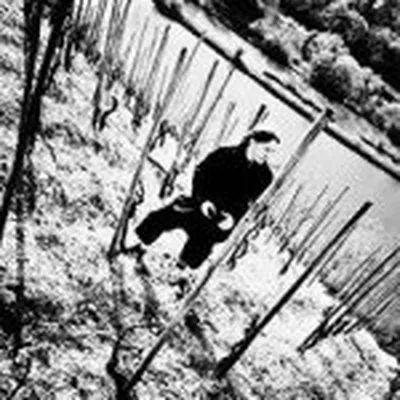 @soilpimp profile image