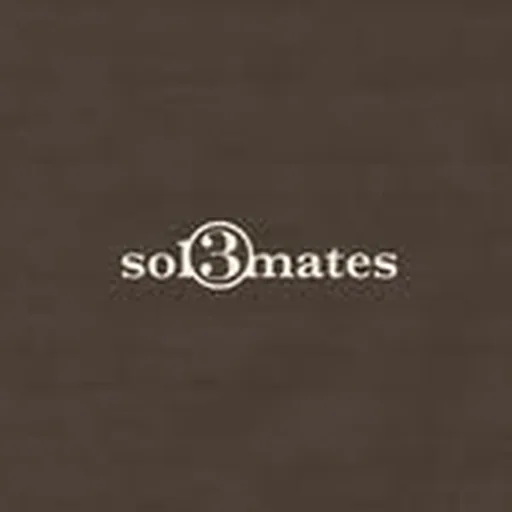 @sol3mates.xyz profile image