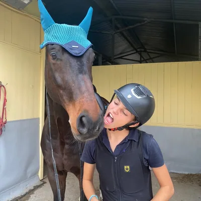 @sole.dressage profile image