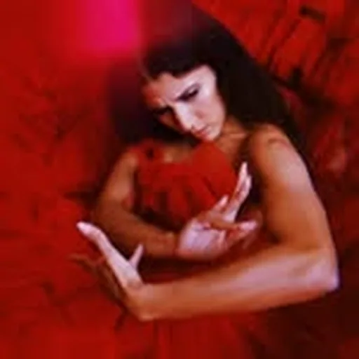 @soleilachaou profile image