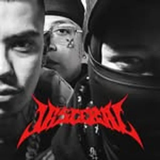@solocadaver profile image