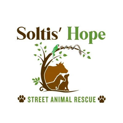 @soltishopestreetanimalrescue profile image
