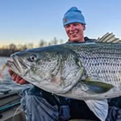 @sommertime_outdoors profile image