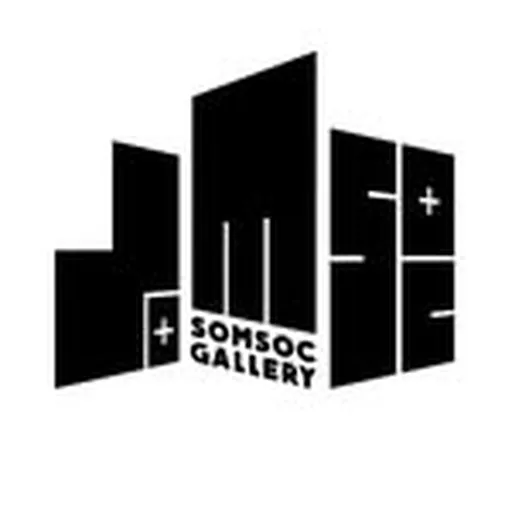 @somsocgallery profile image