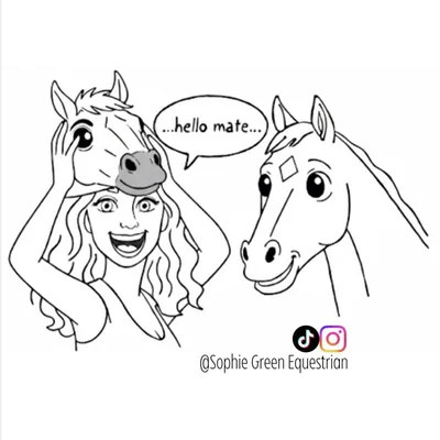 @sophie_green_equestrian profile image