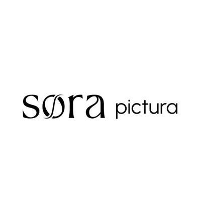 @sora_pictura profile image