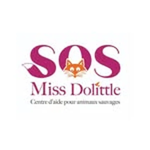 @sosmissdolittle profile image