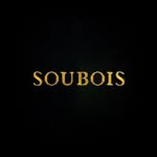 @soubois profile image
