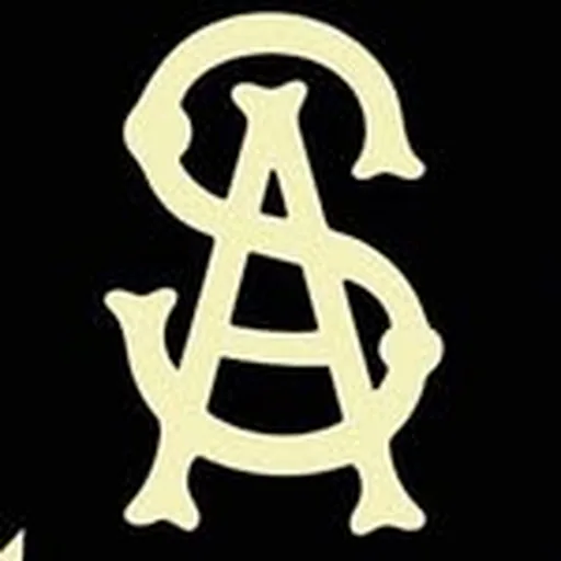 @soul.assassins profile image