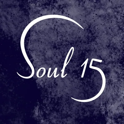 @soul15.event.entertainment profile image
