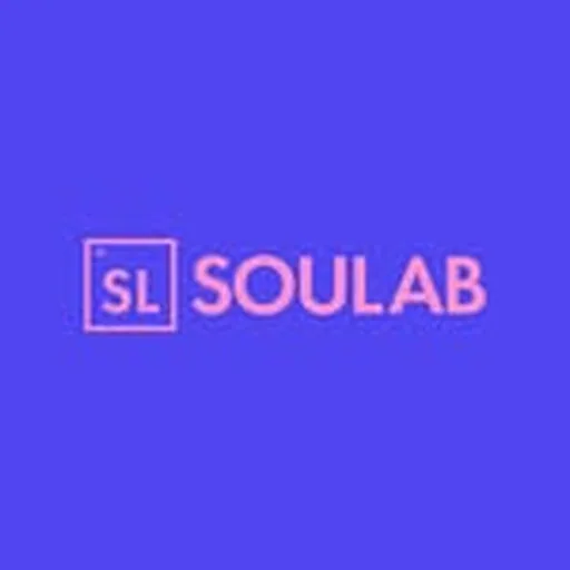 @soulab__ profile image