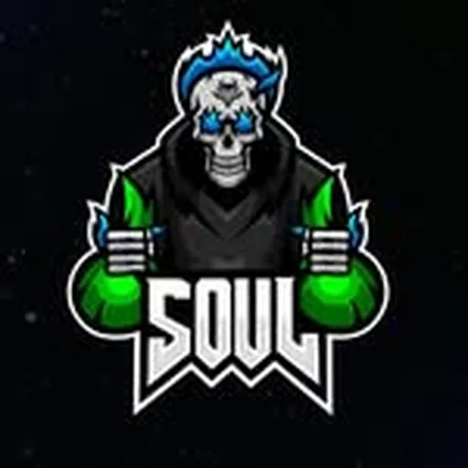 @soulesportsofficial profile image