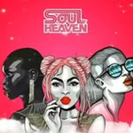 @soulheavenrecords profile image