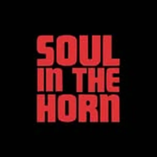 @soulinthehorn profile image