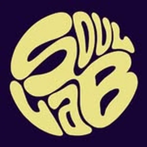 @soullab_bcn profile image