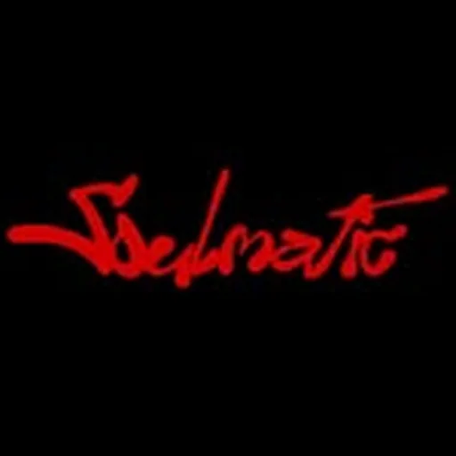 @soulmatic__ profile image