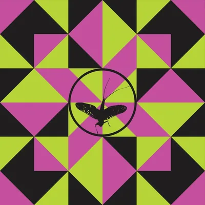@southerncultureonthefly profile image