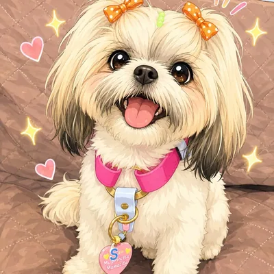 @soy.sky.shihtzu profile image