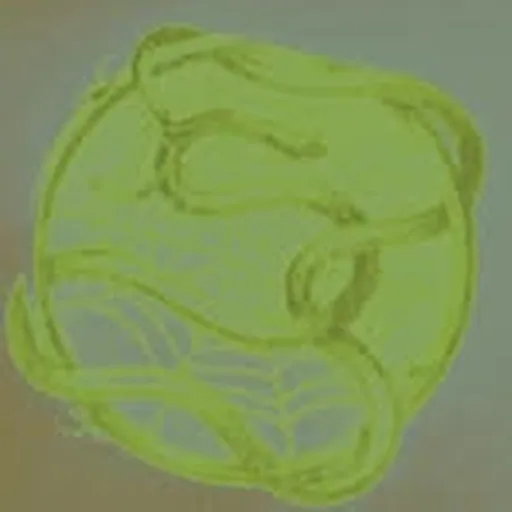 @sp5derworldwide profile image