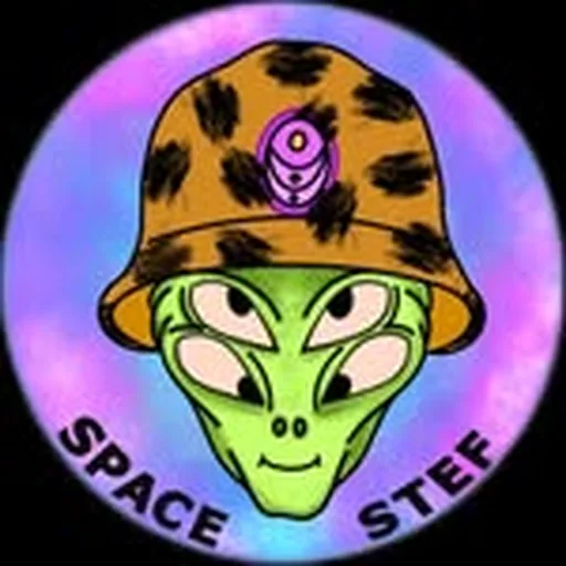 @spacestef profile image