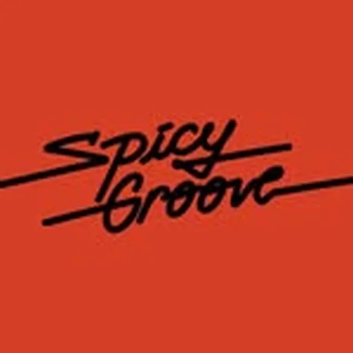 @spicygrooveibiza profile image