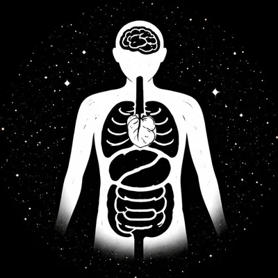 @spiega.il.corpo.umano profile image