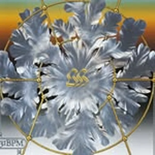 @spielraum_amsterdam profile image