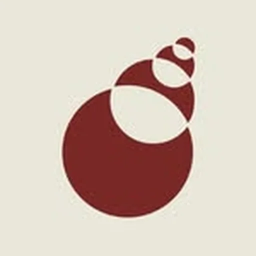 @spinningtopmusic profile image